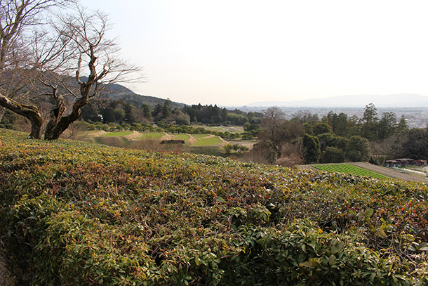 修学院離宮の田園風景